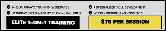 Summer Elite Training Cost